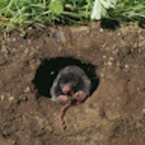 Meet your Posher, Caitlin